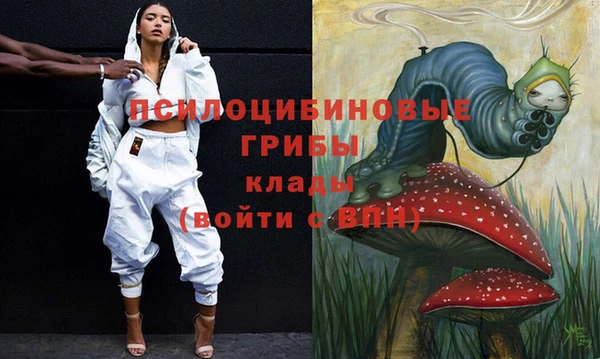 стафф Алзамай