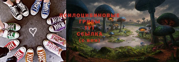твердый Зеленодольск