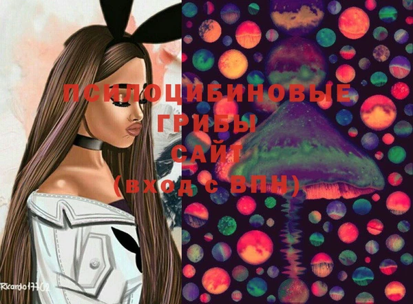 стафф Алзамай