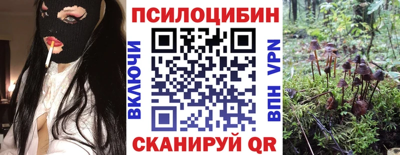 Галлюциногенные грибы MAGIC MUSHROOMS  Гусь-Хрустальный 